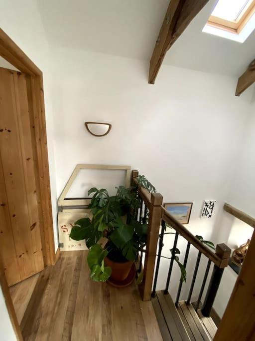 9A Viaduct Cottage - The Cosiest Bolthole In The Sw! Hayle Exterior foto